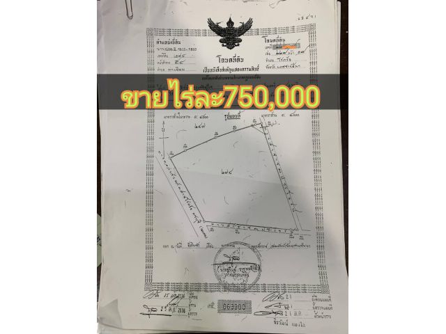 ขายที่ดิน102ไร่️ท่าเยี่ยมอำเภอโชคชัย จังหวัดนครราชสีมา ติดถนน​ราช​สี​มา​โชคชัย​  พื้นที่ 102 -ไร่3งาน