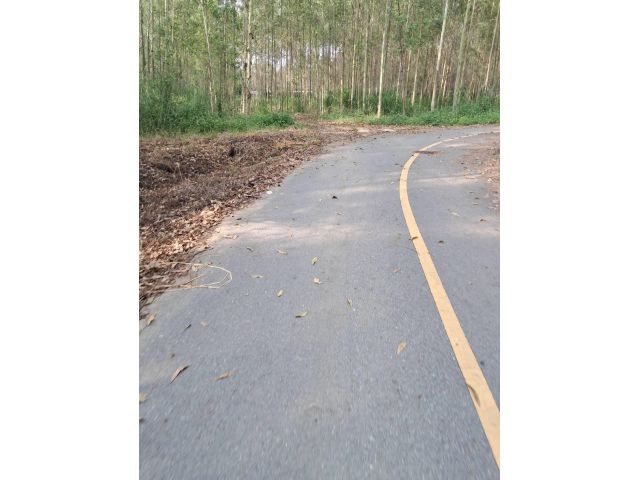ขายที่ดินแปลงสวยสีม่วง 6 ไร่ ต.หนองอิรุณ อ.บ้านบึง จ.ชลบุรี ใกล้ อบต.หนองอิรุณ