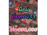 ขายถูกกว่าใกล้เคียง นิคมบ่อทอง 33 เนื้อที่ 24 ไร่ 3งาน 57ตารางวา โครงการขยาย EEC