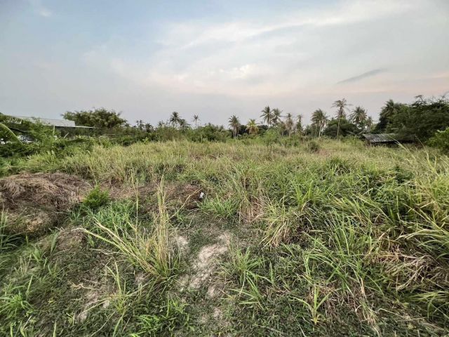 L1679 ขายที่ดินวิวภูเขา 4 ไร่ เมืองชลบุรี