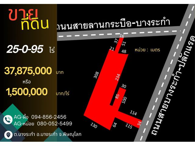 ที่ดินบางระกำ พิษณุโลก 25-0-95 ไร่ ติดถนนทางหลวง 2 ด้าน (ถนน 1065, 1281)