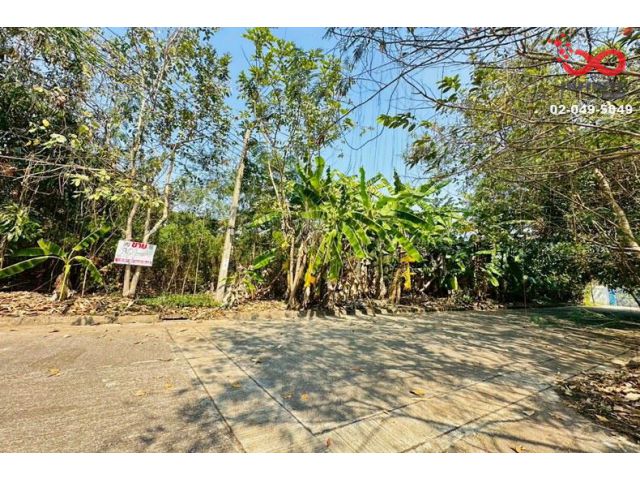 ขายที่ดิน 96ตร.วา หมู่บ้านฟลอร่าวิลล์ ถนนสุวินทวงศ์ ลำผักชี หนองจอก