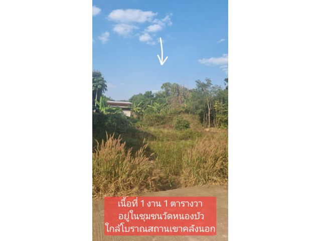 ขายที่ดินเหมาะสร้างบ้าน น้ำไฟพร้อม ติดถนนคอนกรีตในชุมชน