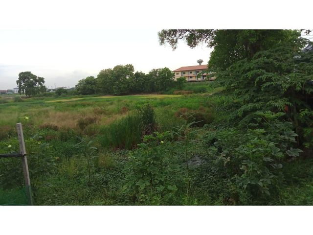 L1703 ขายที่ดิน 1 ไร่ ติดนิคมฯโรจนะ อยุธยา