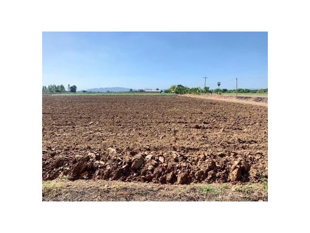ที่ดินทำเลทองผืนใหญ่16ไร่ วังศาลา ท่าม่วง แปลงสวย ทำเลดี แหล่งชุมชน ใกล้ทางด่วนM81 จากกรุงเทพเพียง1ชม. คมนาคมสะดวก