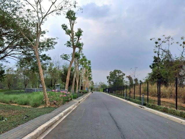 ขายที่ดินเปล่า Pirom At Vineyard เขาใหญ่ ภิรมย์ แอท วินยาร์ด