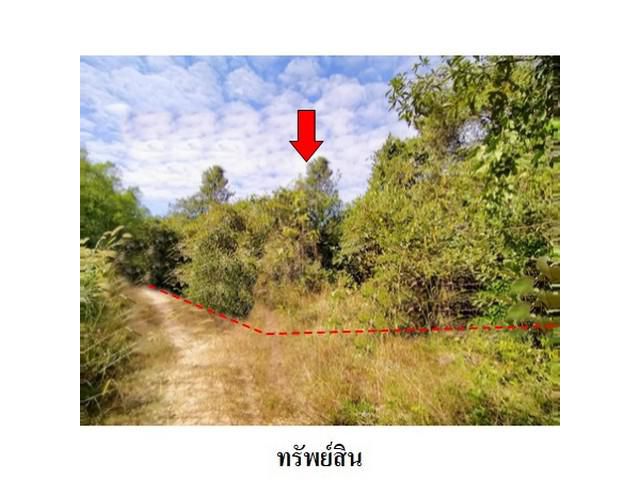 ขายที่ดินว่างเปล่า ชุมชนบ้านนิคม ต.นิเวศน์ อ.ธวัชบุรี จ.ร้อยเอ็ด