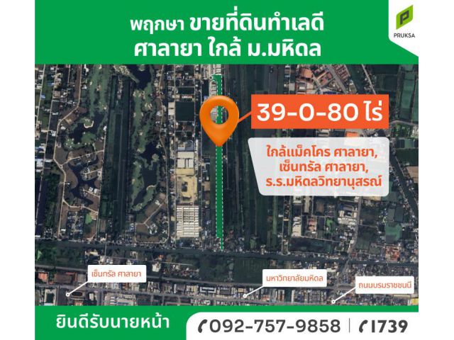 ขายที่ดินแปลงใหญ่ ย่านมหิดล-ศาลายา