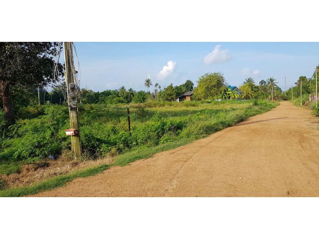 ขายที่ดิน 6 ไร่ ใกล้หาดจอมเทียน เมืองพัทยา อ.บางละมุง จ.ชลบุรี