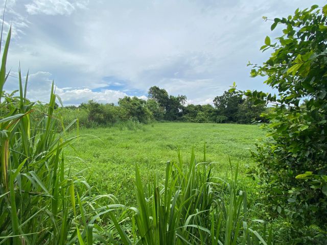 L1713 ขายบ้านพร้อมที่ดิน 3 ไร่ เมืองราชบุรี