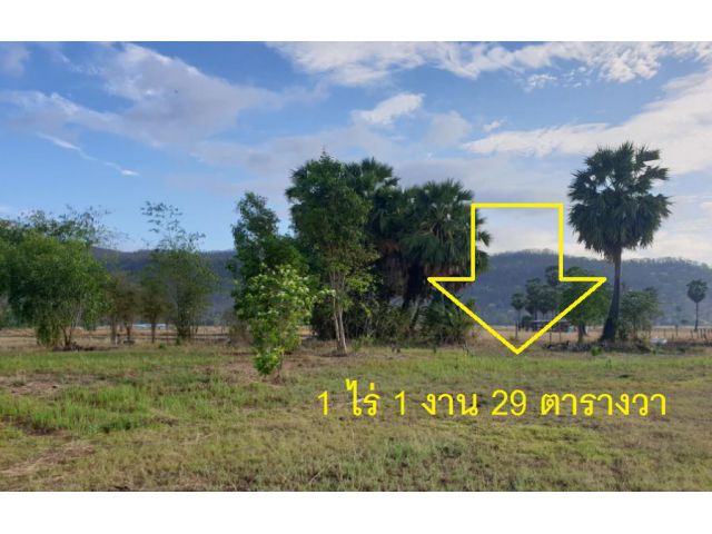 ขายที่ดิน 1 ไร่ 1 งาน 29 วา ทำรีสอร์ทที่พักร้านอาหารคาเฟ่