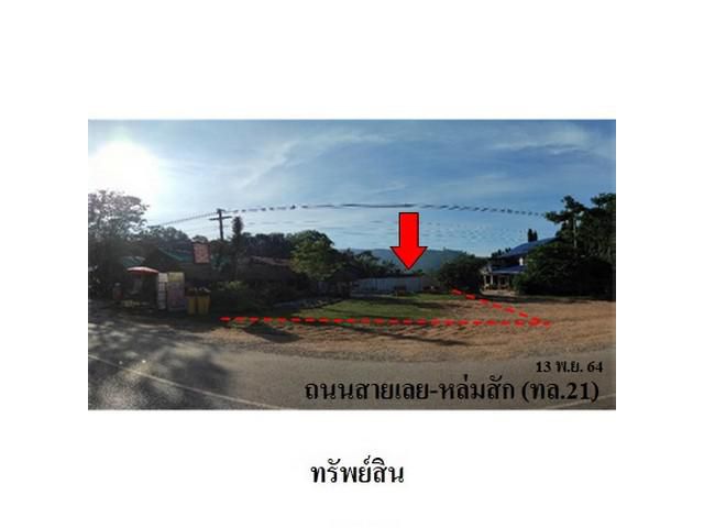 ขายที่ดินว่างปล่า ต.หนองบัว อ.ภูเรือ จ.เลย