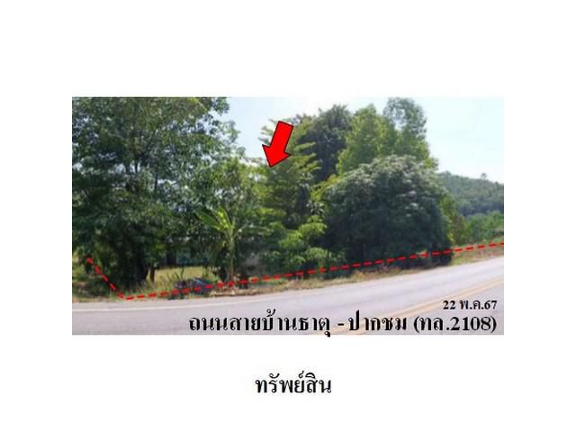 ขายบ้านเดี่ยว ต.ธาตุ อ.เชียงคาน จ.เลย