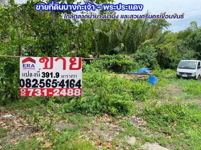 ขายที่ดินเปล่า 391.9 ตารางวา ที่ดินอยู่ในเขตพื้นที่สีเขียว (กระเพาะหมู) บางกะเจ้า - พระประแดง ใกล้ตลาดน้ำบางน้ำผึ้ง และส