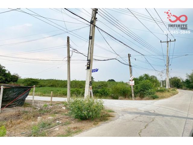 ขายที่ดิน 100 ตร.ว.ใกล้วัดเจดีย์หอย ถ.เลียบคลองใหญ่ ลาดหลุมแก้ว ปทุมธานี ใกล้วัดเจดีย์หอย