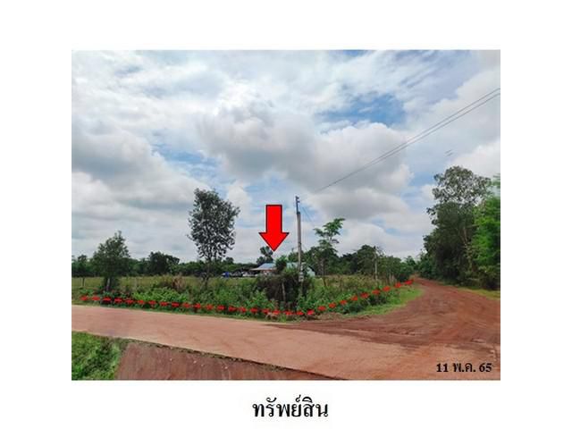 ขายที่ดินว่างเปล่า ถ.โคกสว่าง 2 ต.สว่างแดนดิน อ.สว่างแดนดิน