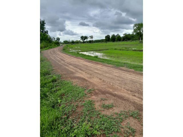 L1750 ขายที่ดิน 6 ไร่ หนองโดน สระบุรี