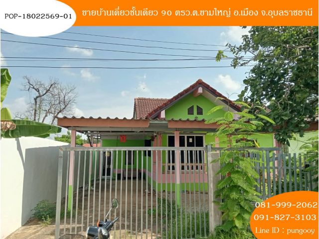 POP-18022569-01 ขายบ้านเดี่ยวชั้นเดียว 90 ตรว.ต.ขามใหญ่ อ.เมือง จ.อุบลราชธานี