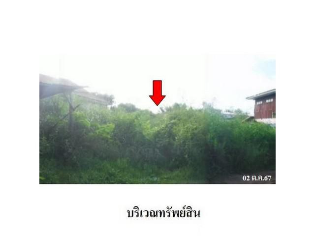 ขายที่ี่ดินว่างเปล่า ต.สว่างแดนดิน อ.สว่างแดนดิน จ.สกลนคร