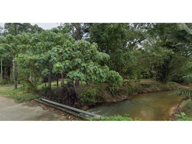 Land for sale!!! ขายที่ดินโคกกลอย ติดลำคลองธรรมชาติ