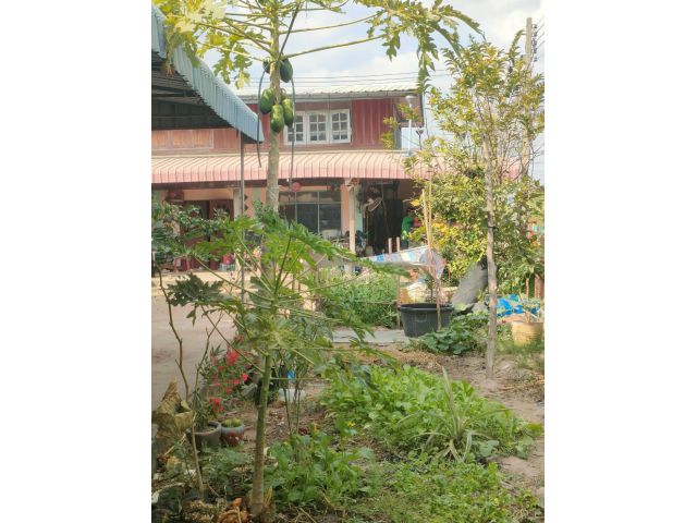 ขายบ้านพร้อมที่ดิน 4 ห้องนอน 3 ห้องน้ำแอร์ 3ห้อง 1ครัว