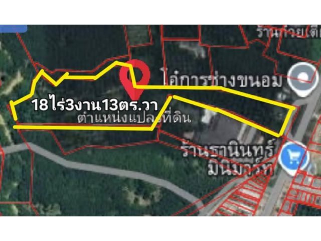 ขายที่ติดถนนทางไปขนอม ห่างถนนสุราษ-นครศรี 6กม. โฉนด 18ไร่ 3งาน 13ตร.วา อยู่ ต.ควนทอง อ.ขนอม ขาย 20,000,000 ติดต่อ0877195