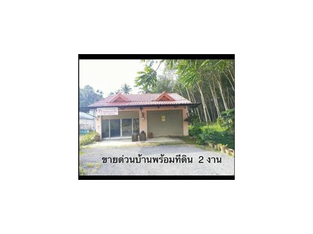 ขายบ้านติดถนนทางหลวงแผ่นดินสาย ท่าศาลา-นบพิตำ ตำบลนบพิตำ อำเภอนบพิตำ จังหวัดนครศรีธรรมราช