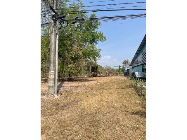 ขายที่ดินโพธิ์งาม 200 ตรว. ติดถนนเส้นสุวรรณศร3649สายเก่า ใกล้เทศบาลบ้านโพธิ์-3กม. อ.ประจันตคาม ปราจีนบุรี