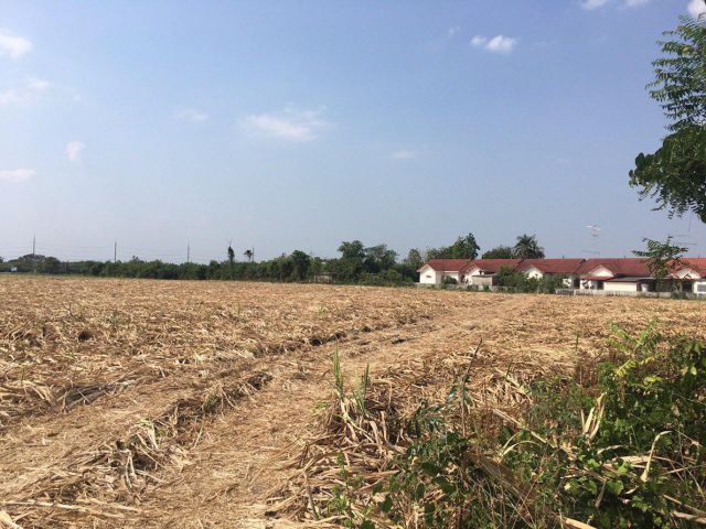 ขายที่ดิน 31 ไร่ ใกล้โรงเรียนจำรัสวิทยา ซอยเทศบาล 6 ต.คำพราน อ.วังม่วง จ.สระบุรี