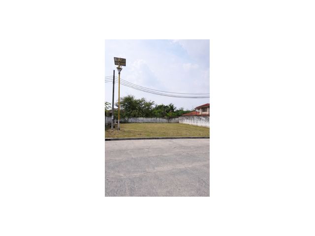 ขายที่ดิน แปลงสวย หมู่บ้านกรีนเลค ที่ดินบางพลี ขายที่ดินบางนา