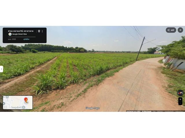 ขายที่ดินเปล่า ทำเลดี อำเภอ ชื่นชม มหาสารคาม