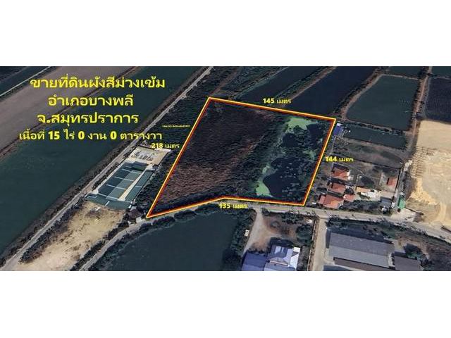 ขายที่ดิน 15 ไร่ ผังสีม่วง บางพลี สมุทรปราการ สำหรับสร้างโรงงาน