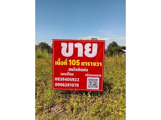 ขายที่ดินถมแล้ว อำเภอแม่แตง จังหวัดเชียงใหม่ เนื้อที่ 105 ตารางวา