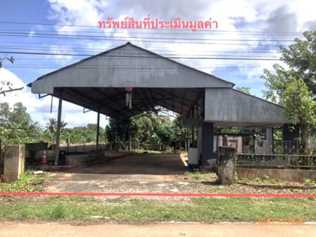 ขายโกดัง สุราษฎร์ธานี อำเภอ เมืองสุราษฎร์ธานี จังหวัด สุราษฎร์ธา