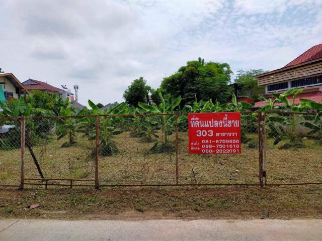 ที่ดินสวย 303 ตร.ว ใจกลางพิษณุโลกใกล้เซ็นทรัล 6.5 ล้าน