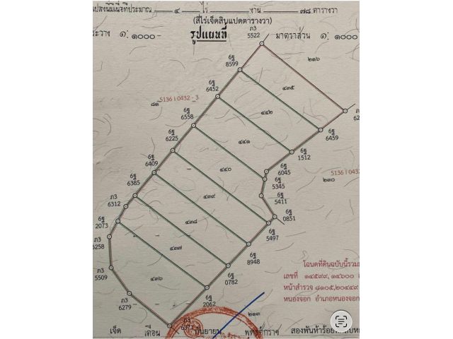 ขายที่ดินหนองจอก200ตรว ติดถนนคอนกรีต ไฟฟ้าน้ำประปาเข้าถึง