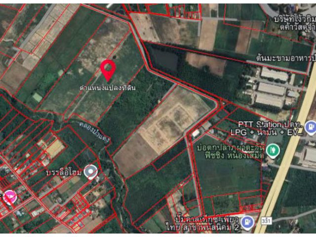ขายที่ดิน 30 ไร่ 119 ตรวา ต.หมอนนาง อ.พนัสนิคม พื้นที่สีเหลือง