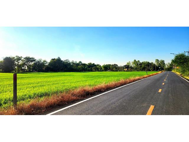 ขายที่ดินคลอง16 องครักษ์ นครนายก