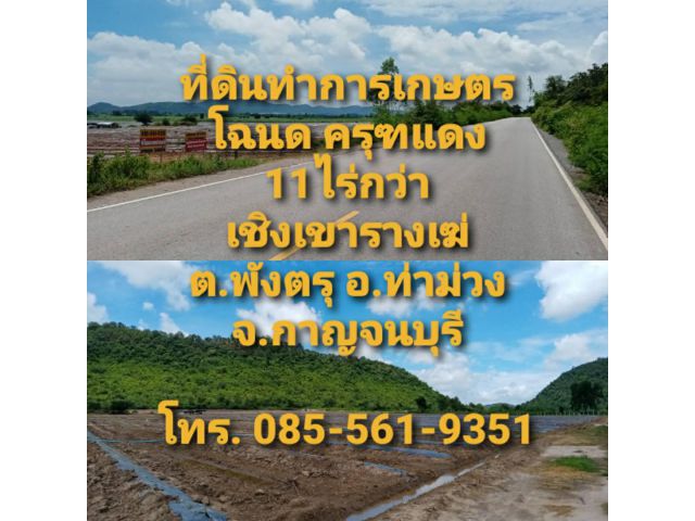ที่ดินทำการเกษตร โฉนดครุฑแดง ต.พังตรุ อ.ท่าม่วง จ.กาญจนบุรี 11ไร่กว่า เชิงเขารางเฆ่ ใกล้วัดรางเฆ่