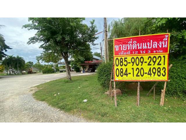 ขายที่ดิน 12 ไร่ 3 งาน ติดถนนทางหลวง โซนหมอนนาง พนัสนิคม ชลบุรี