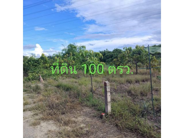 ขายที่ดินจัดสรรถมแล้ว เหลือเพียง 100 ตรว.เมืองลำพูนใกล้เชียงใหม่ ติดถนนทำเลดีใกล้วงแหวนรอบ 4