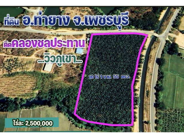 ขายที่ดิน 10 ไร่ ติดคลองชลประทาน วิวภูเขา อ.ท่ายาง เพชรบุรี