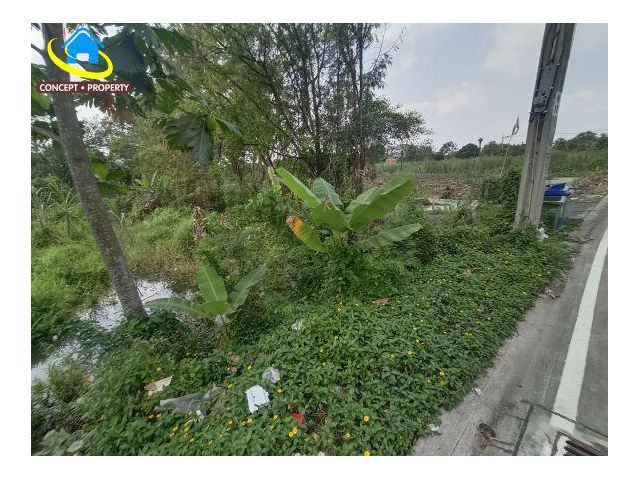 ขายที่ดิน 368 ตารางวา ซอยบางรักน้อย 18 ซอยอนามัยบางประดู่ เมืองนนทบุรี