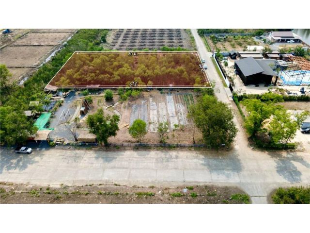 ขายด่วนที่ดิน 2 ไร่ ถมแล้ว คลอง 2 คลองหลวง จ.ปทุมธานี | ใกล้ตลาดไท – วัดพระธรรมกาย