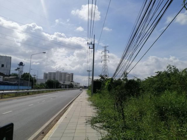 ขายที่ดิน 25 ไร่  ต.หมื่นไวย อ.เมือง จ.นครราชสีมา ใกล้สี่แยกพีกาซัส ติดถนนสุระ 2 (ทางหลวง 1120)