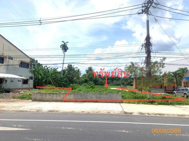 ขาย ที่ดิน สุราษฎร์ธานี   อำเภอ กาญจนดิษฐ์ จังหวัด สุราษฎร์ธานี