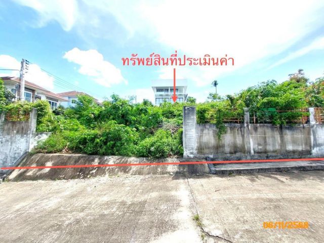 ขาย ที่ดิน สุราษฎร์ธานี อำเภอ เกาะสมุย จังหวัด สุราษฎร์ธานี