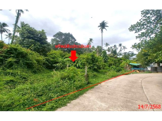 ขาย ที่ดิน สุราษฎร์ธานี  อำเภอ เกาะสมุย จังหวัด สุราษฎร์ธานี