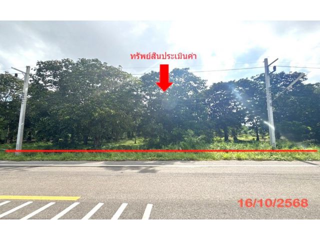 ขาย ที่ดิน สุราษฎร์ธานี อำเภอ เมืองสุราษฎร์ธานี จังหวัด สุราษฎร์ธ