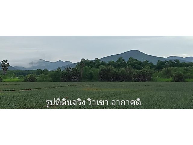 ขายที่ดิน นส3 ก. รวม 180-300 ไร่ ทําเลดี ติดทางหลวง ห่างทะเล 16 กม.
